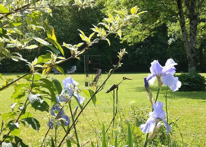 Domaine de l'Olifant
